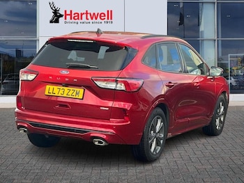 Used Ford Kuga 2023 for sale - 77021752: Photo