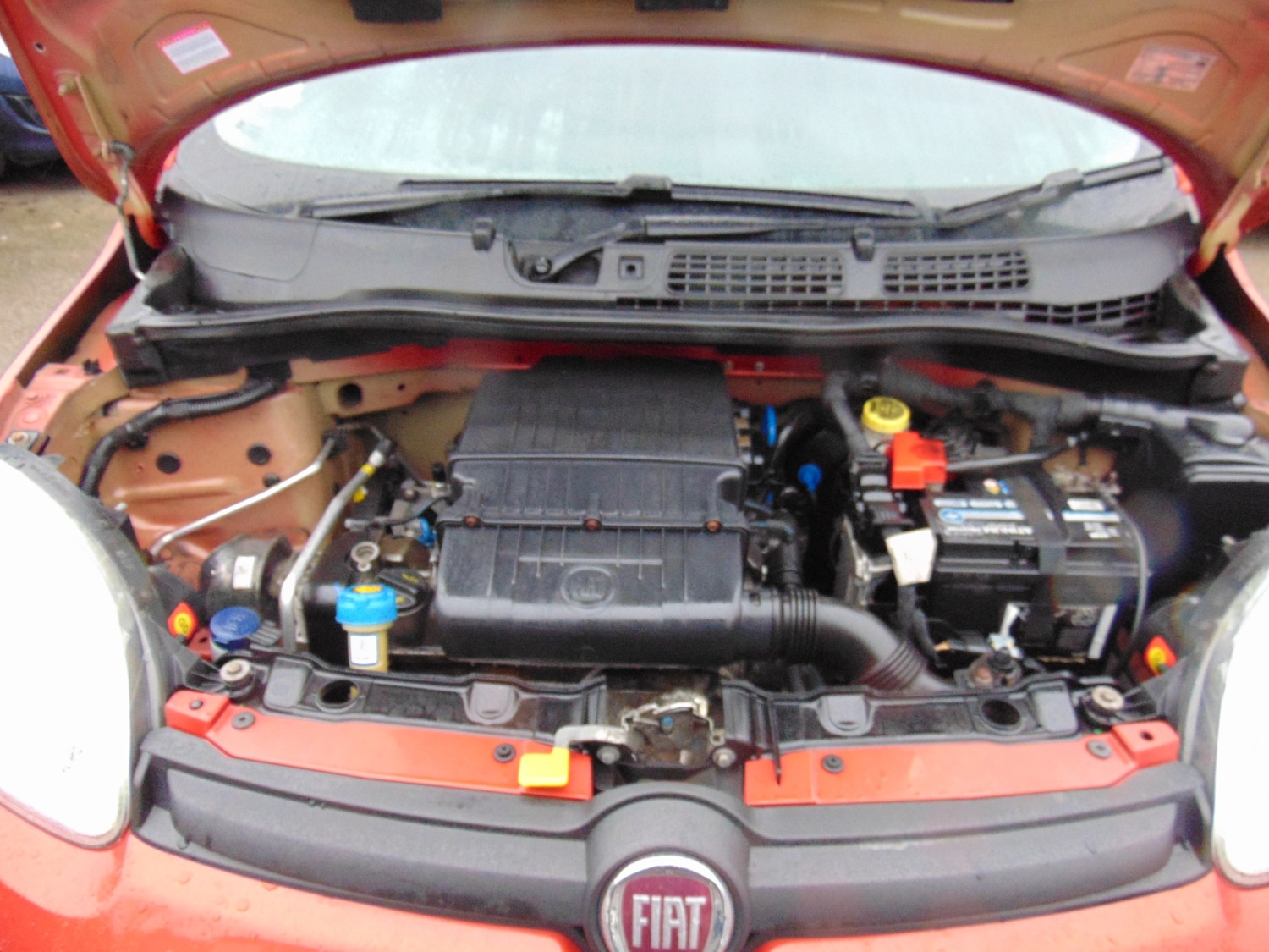 Used Fiat Panda 2014 for sale - 77378452: Photo 9