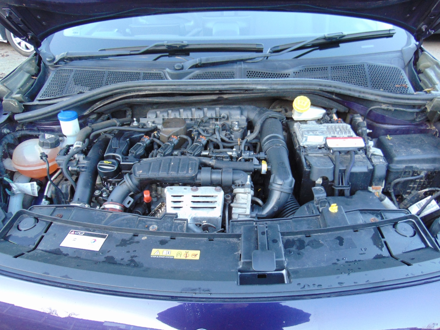 Used Citroen C4 Cactus 2017 for sale - 77085576: Photo 8