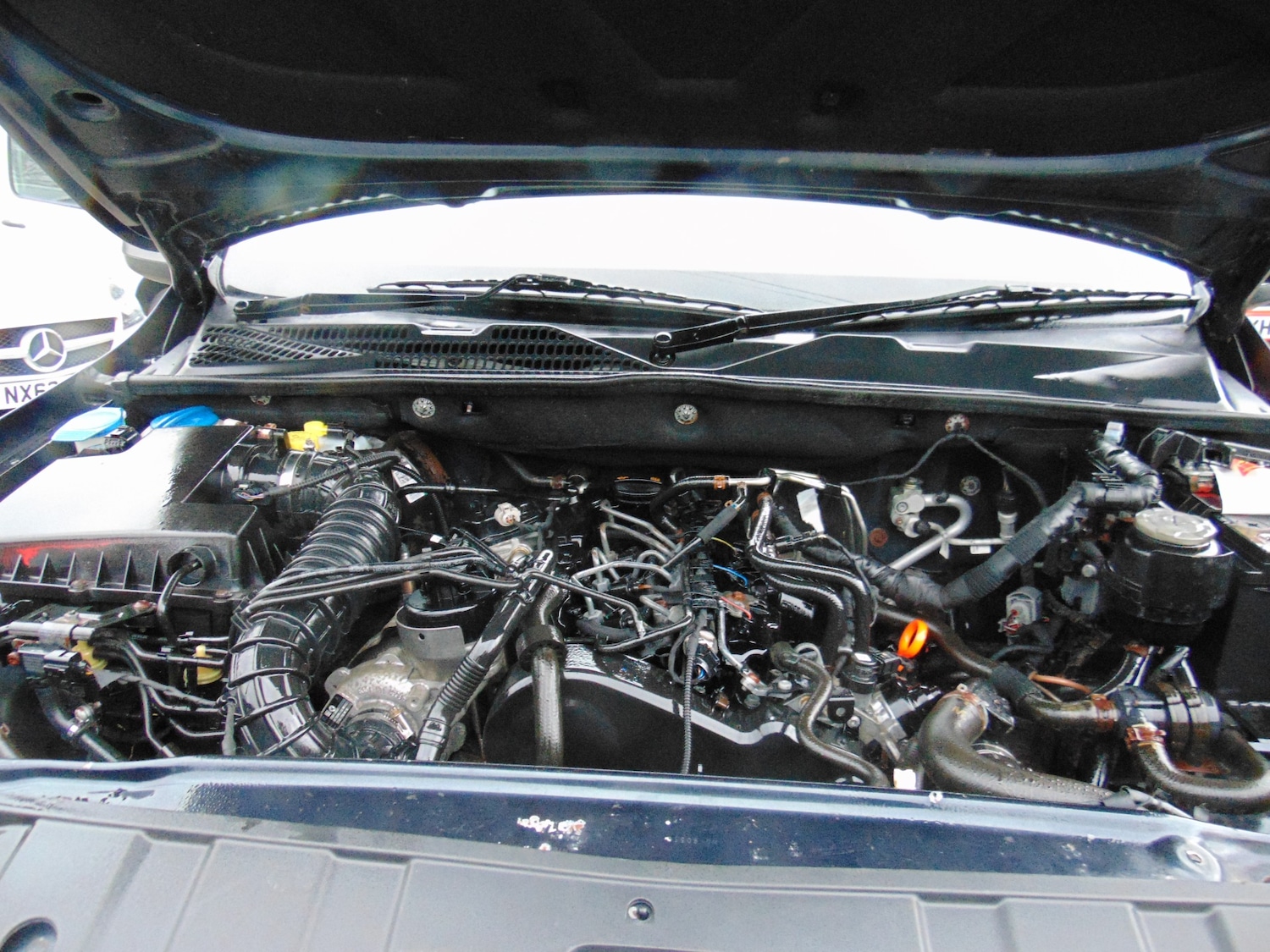 Used Volkswagen Amarok 2012 for sale - 77298630: Photo 8