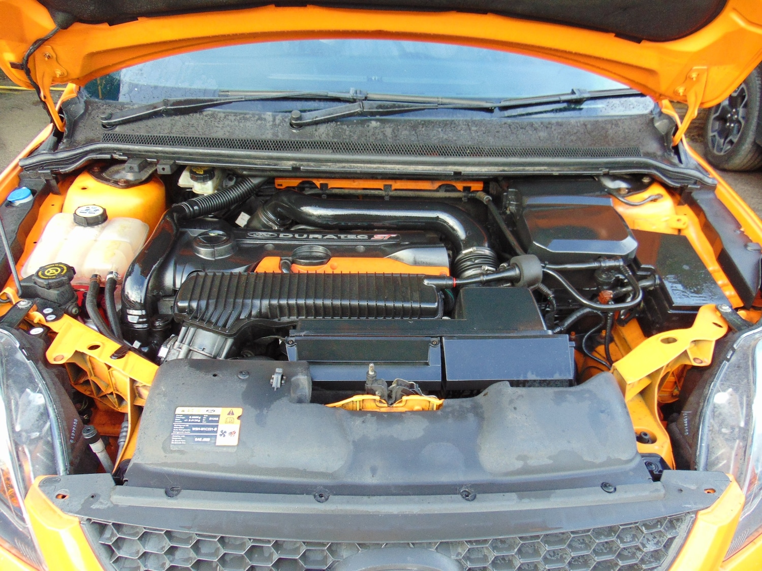 Used Ford Focus 2011 for sale - 77168027: Photo 8