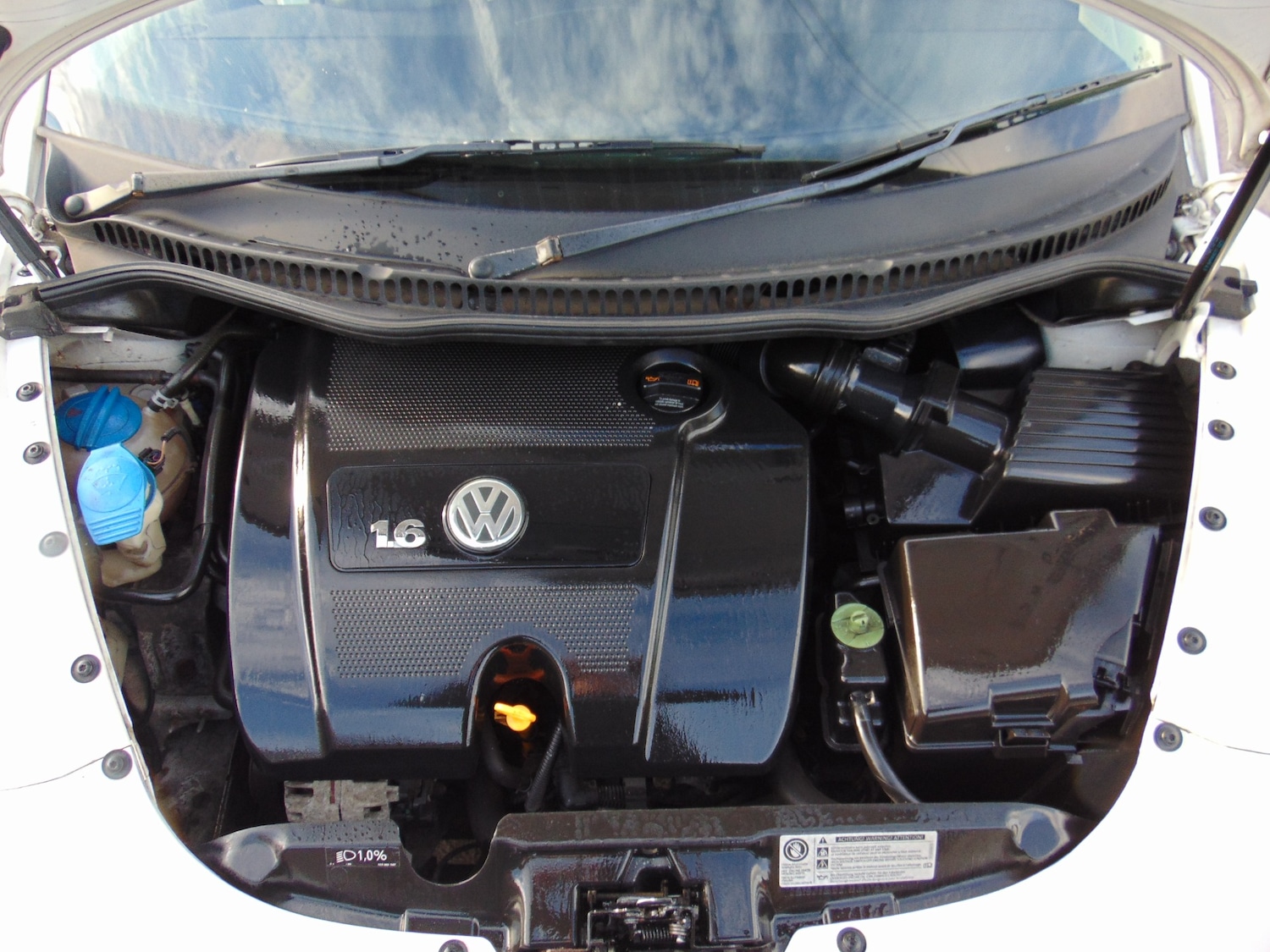 Used Volkswagen Beetle 2010 for sale - 77664955: Photo 6