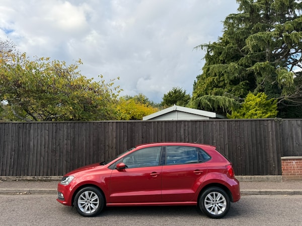 Used Volkswagen Polo 2015 for sale - 76209179: Photo 5
