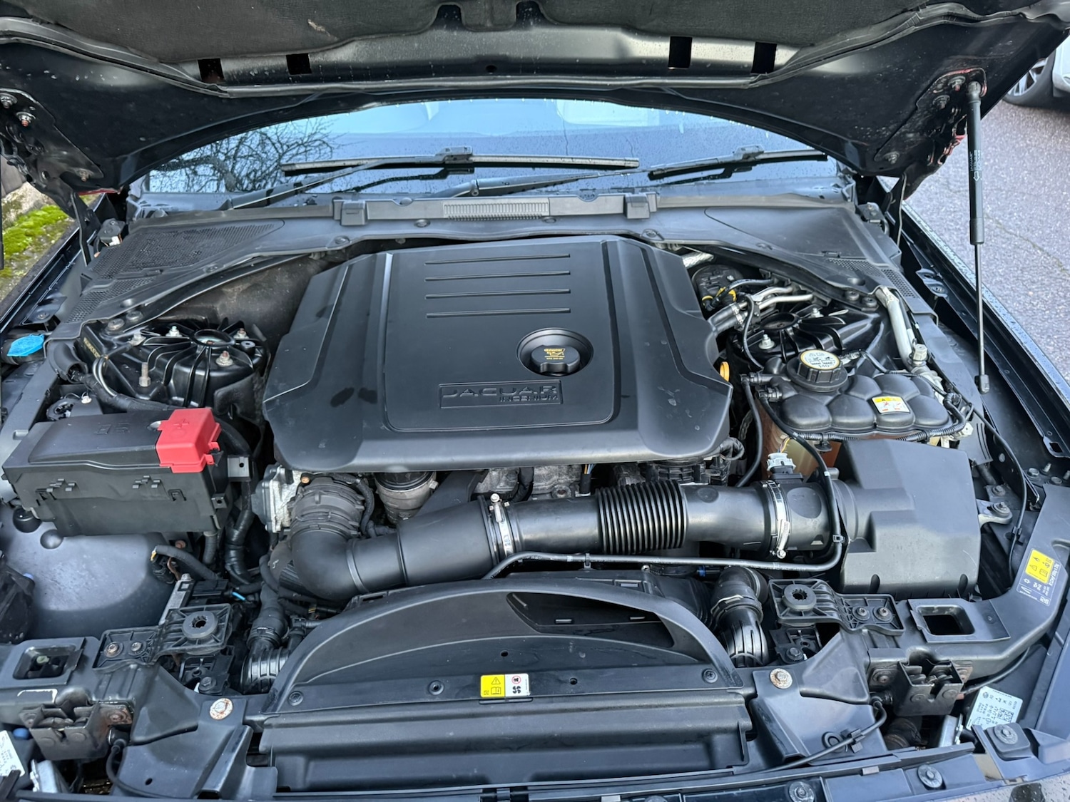 Used Jaguar XE 2017 for sale - 77466095: Photo 25