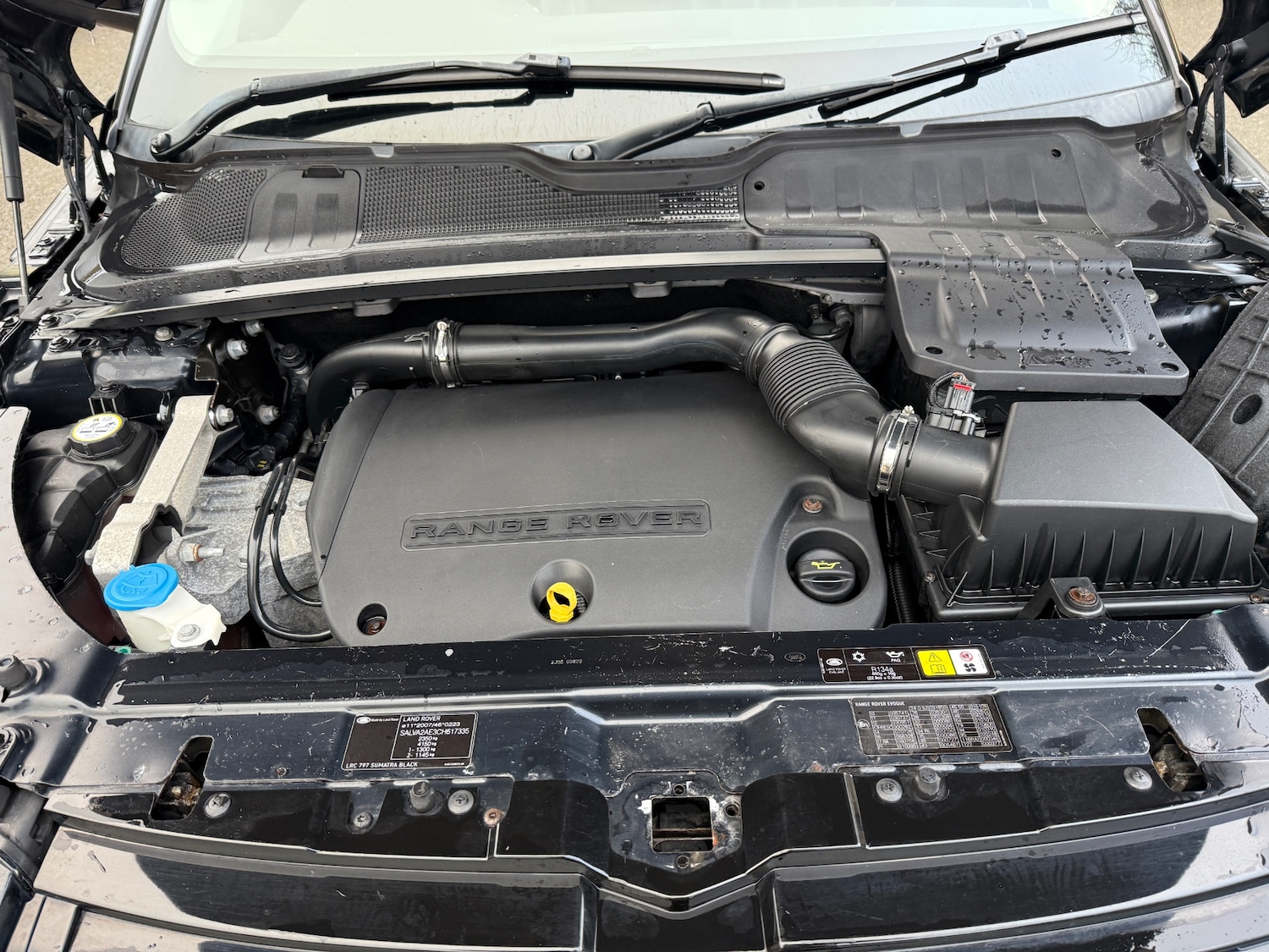 Used Land Rover Range Rover Evoque 2011 for sale - 77392026: Photo 17