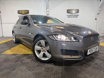 Used Jaguar XF 2017 for sale - 79669367: Photo