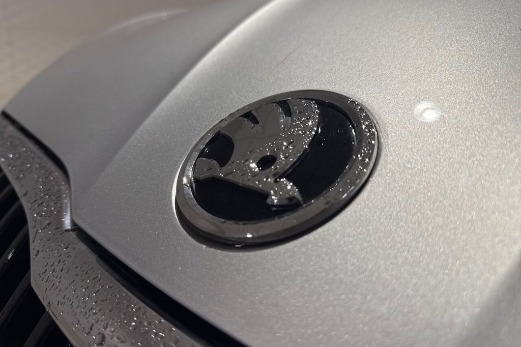 Used Skoda Fabia 2025 for sale - 77594680: Photo 29