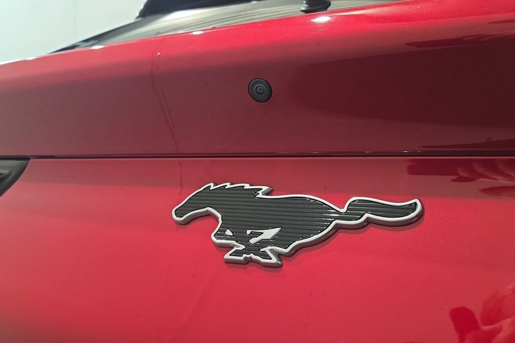 Used Ford Mustang Mach-E 2023 for sale - 77399830: Photo 26