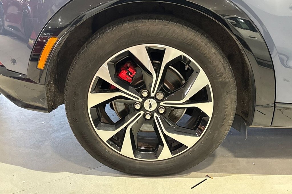 Used Ford Mustang Mach-E 2022 for sale - 77621343: Photo 19