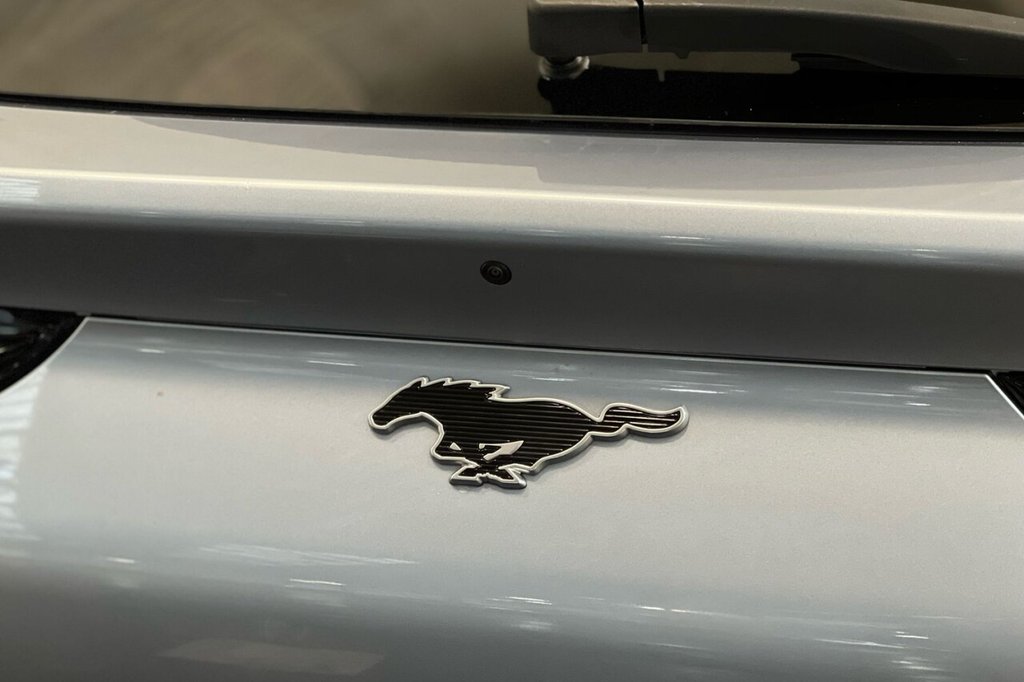 Used Ford Mustang Mach-E 2022 for sale - 77451509: Photo 20