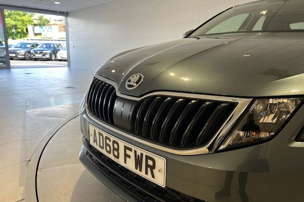 Used Skoda Octavia 2019 for sale - 75149198: Photo 22