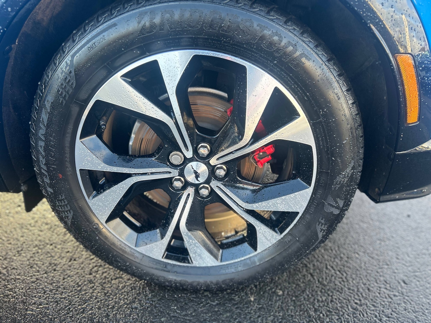 Used Ford Mustang Mach-E 2024 for sale - 77998738: Photo 10