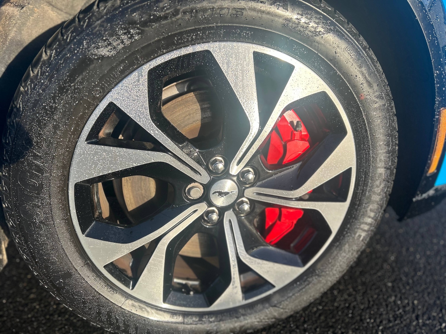 Used Ford Mustang Mach-E 2024 for sale - 77998738: Photo 7