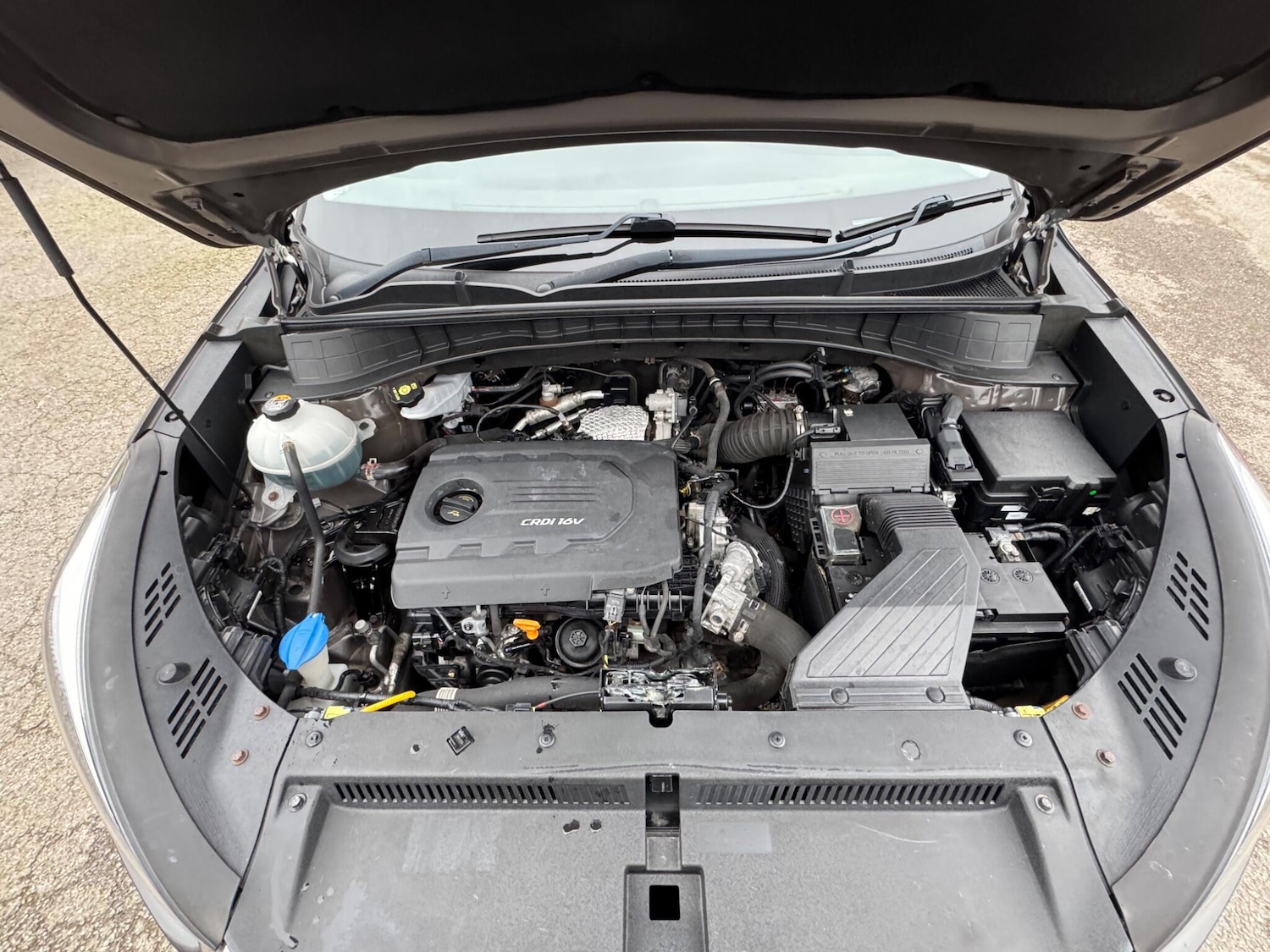 Used Hyundai TUCSON 2016 for sale - 77696492: Photo 33