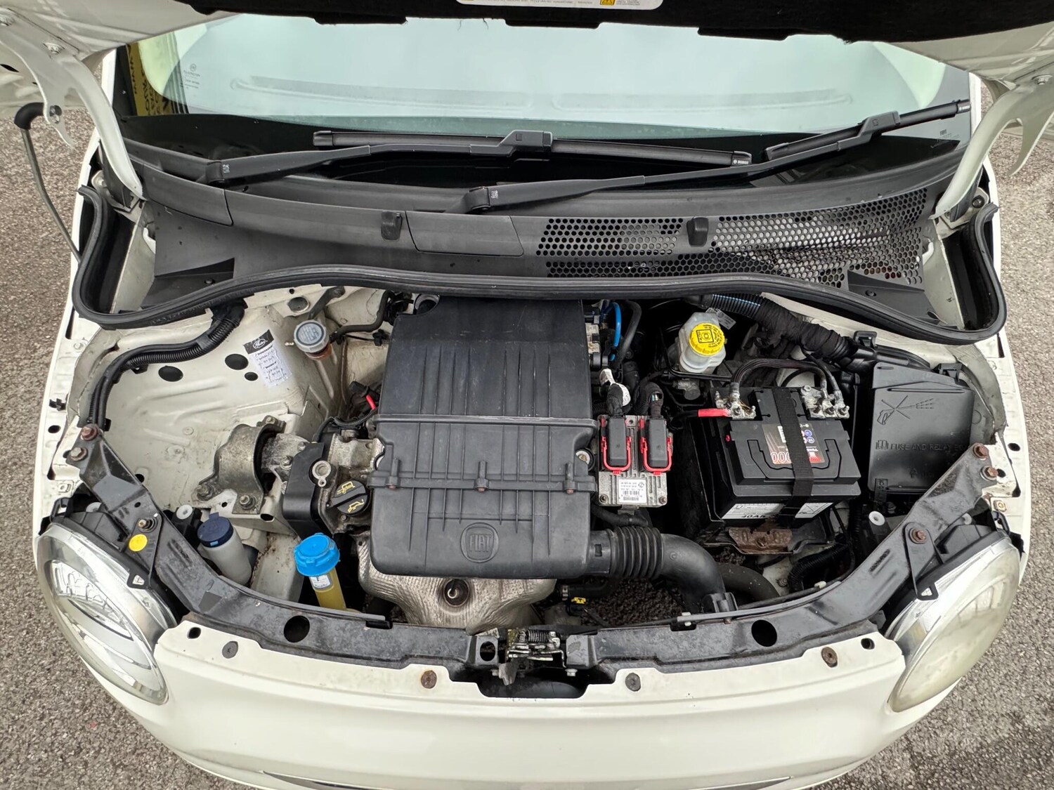 Used Fiat 500 2010 for sale - 76194032: Photo 40