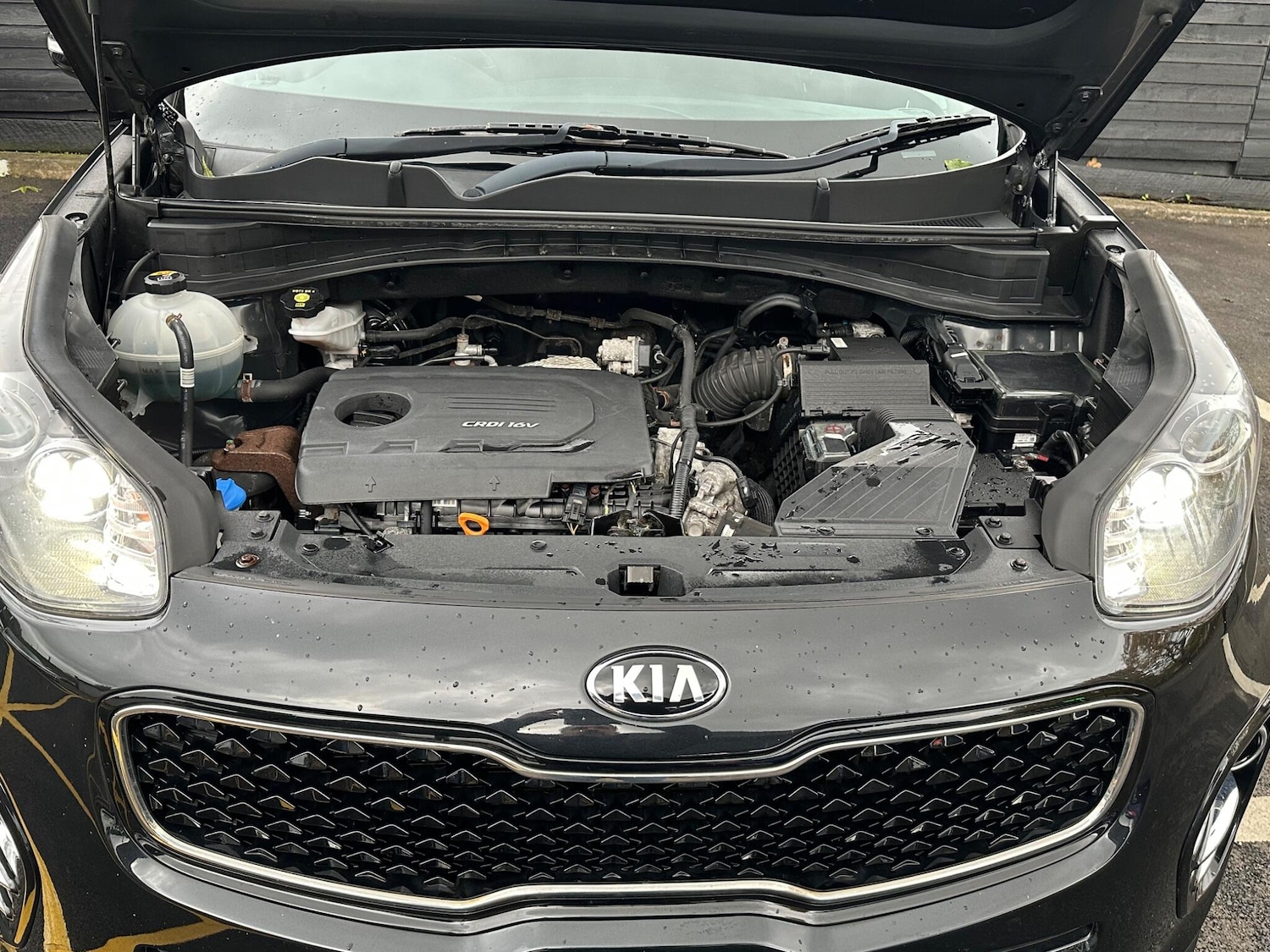 Used Kia Sportage 2017 for sale - 76348918: Photo 48