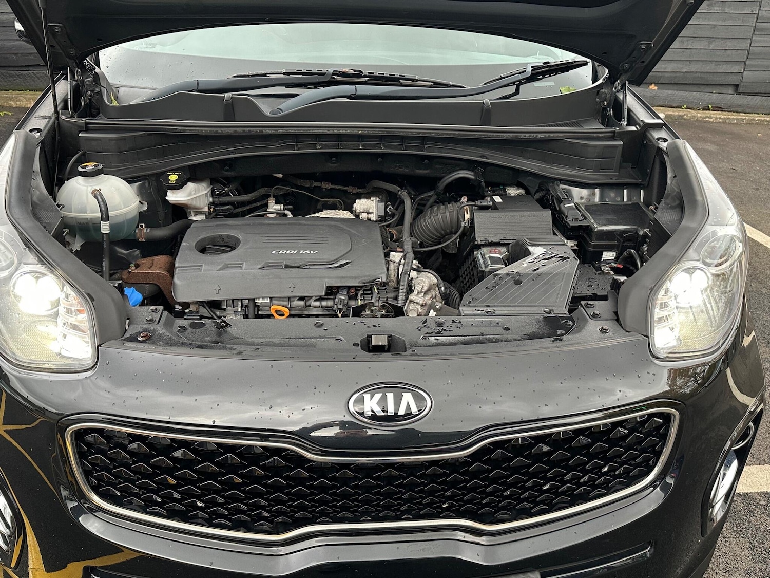 Used Kia Sportage 2017 for sale - 76348918: Photo 49
