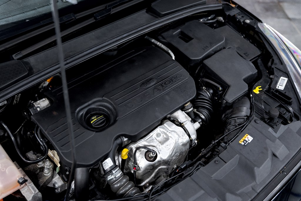 Used Ford Focus 2016 for sale - 77087767: Photo 17