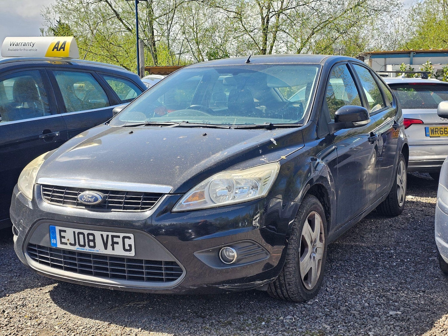 Used Ford Focus for sale - 78214755: Photo 3