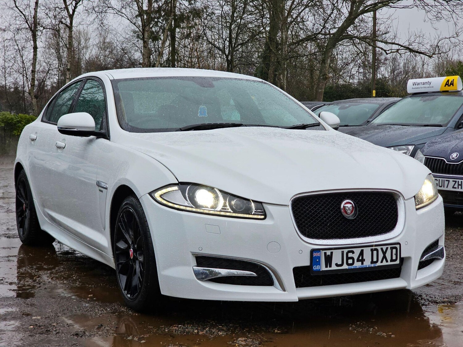 Used Jaguar XF 2014 for sale - 77469019: Photo 6