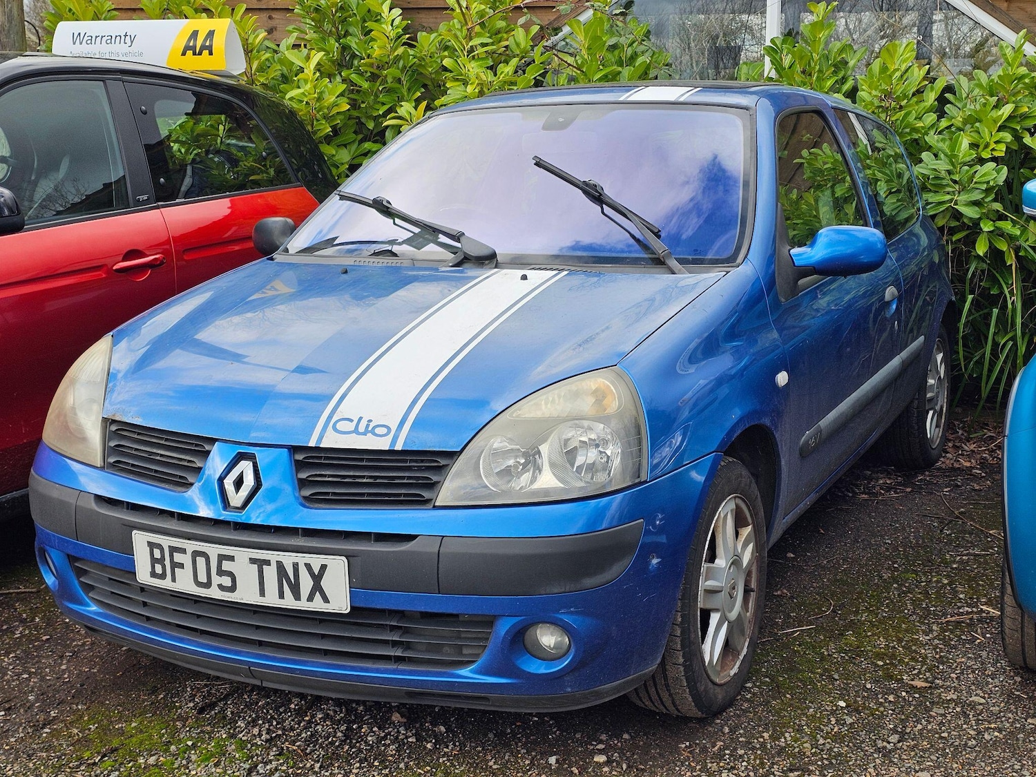Used Renault Clio for sale - 77657592: Photo 3