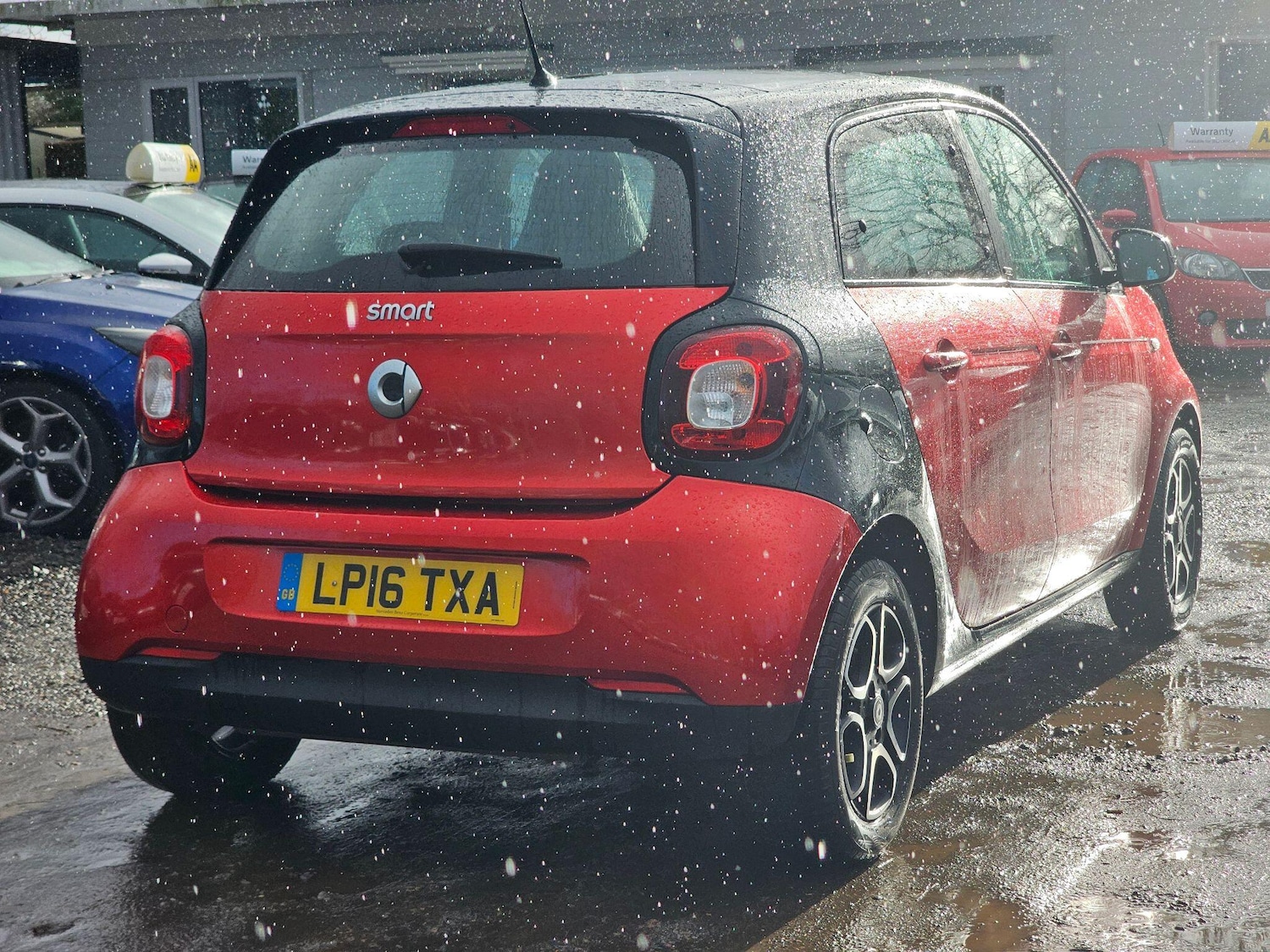 Used smart forfour 2016 for sale - 77470462: Photo 12