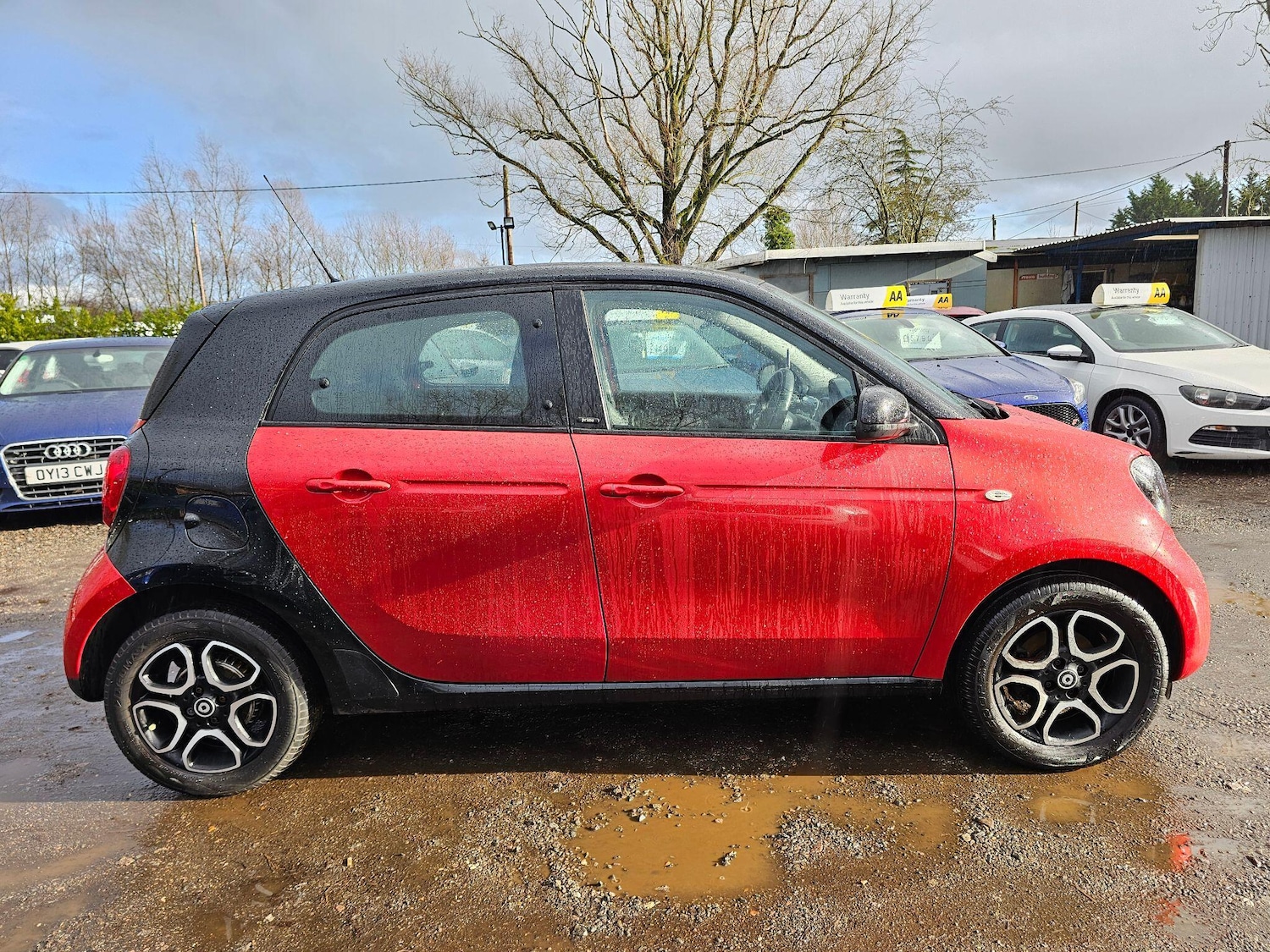 Used smart forfour 2016 for sale - 77470462: Photo 13