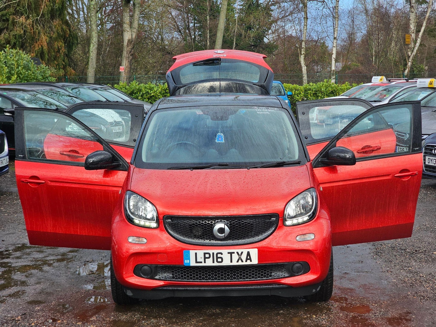 Used smart forfour 2016 for sale - 77470462: Photo 3