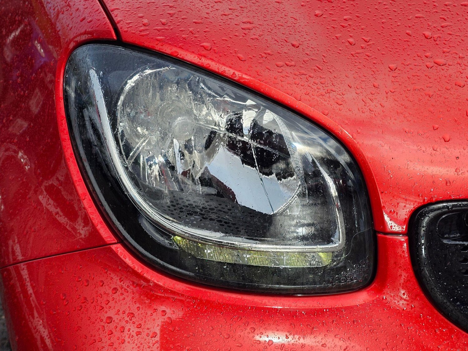 Used smart forfour 2016 for sale - 77470462: Photo 41