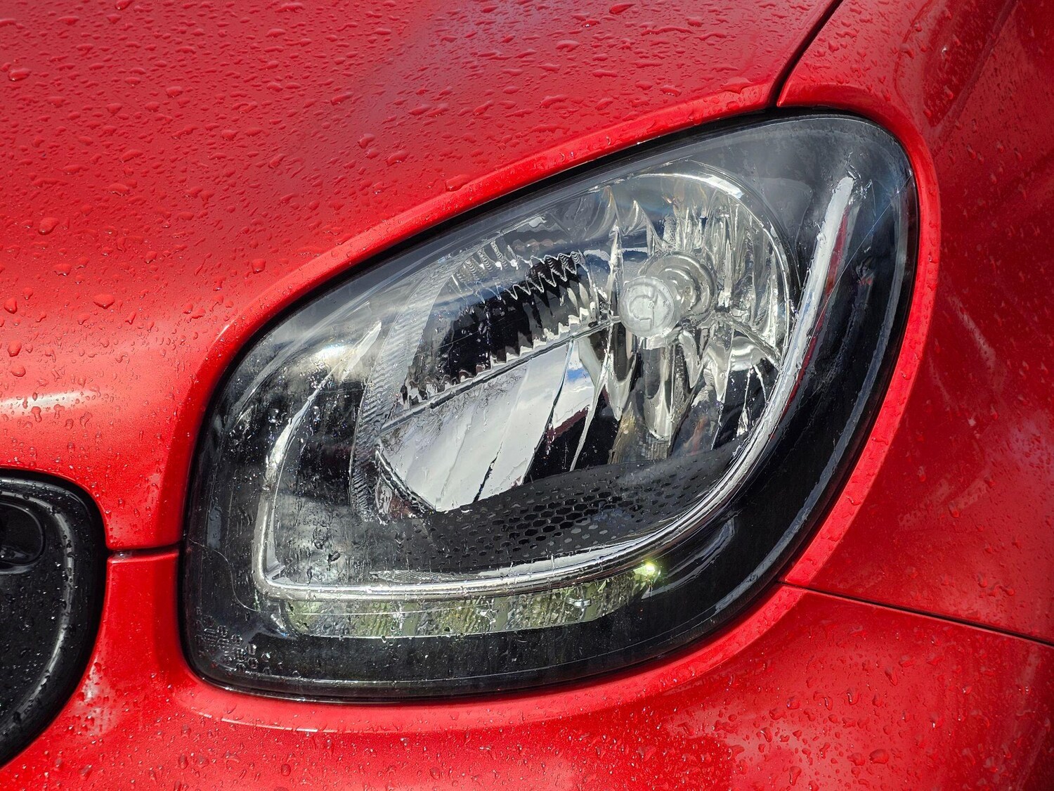 Used smart forfour 2016 for sale - 77470462: Photo 42