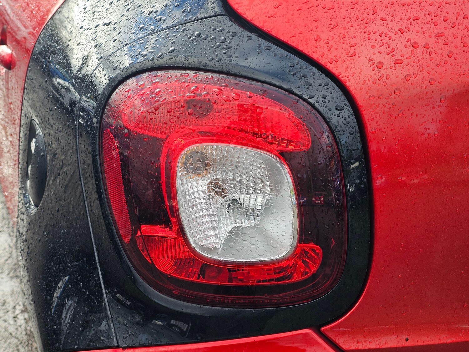 Used smart forfour 2016 for sale - 77470462: Photo 43