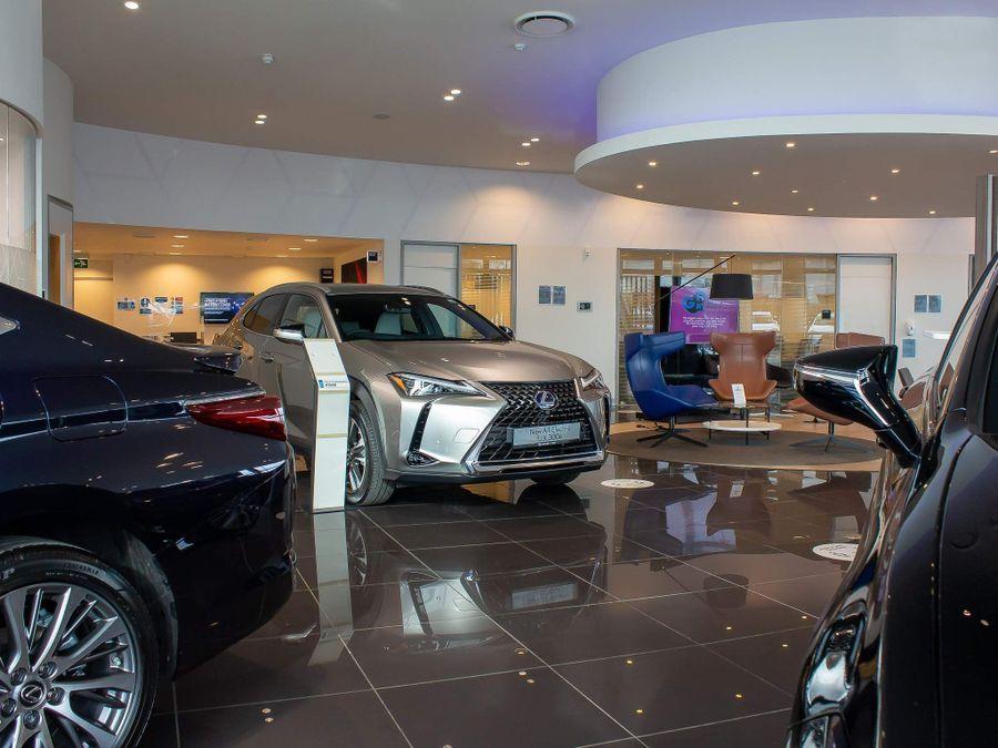 Used Lexus NX for sale - 77684027: Photo 10