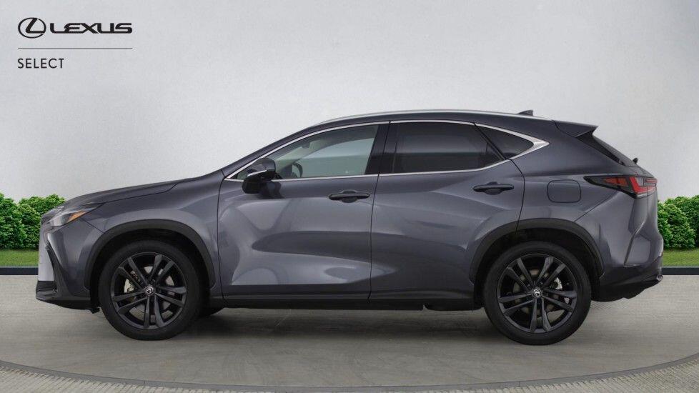 Used Lexus NX 2024 for sale - 77646304: Photo 6
