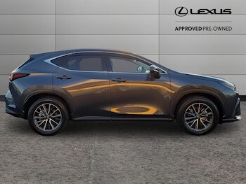 Used Lexus NX 2025 for sale - 76658326: Photo