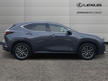 Used Lexus NX 2023 for sale - 76657383: Photo