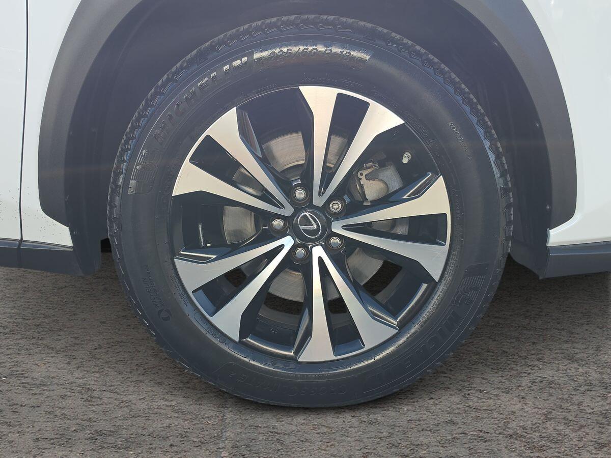 Used Lexus NX for sale - 77925512: Photo 11