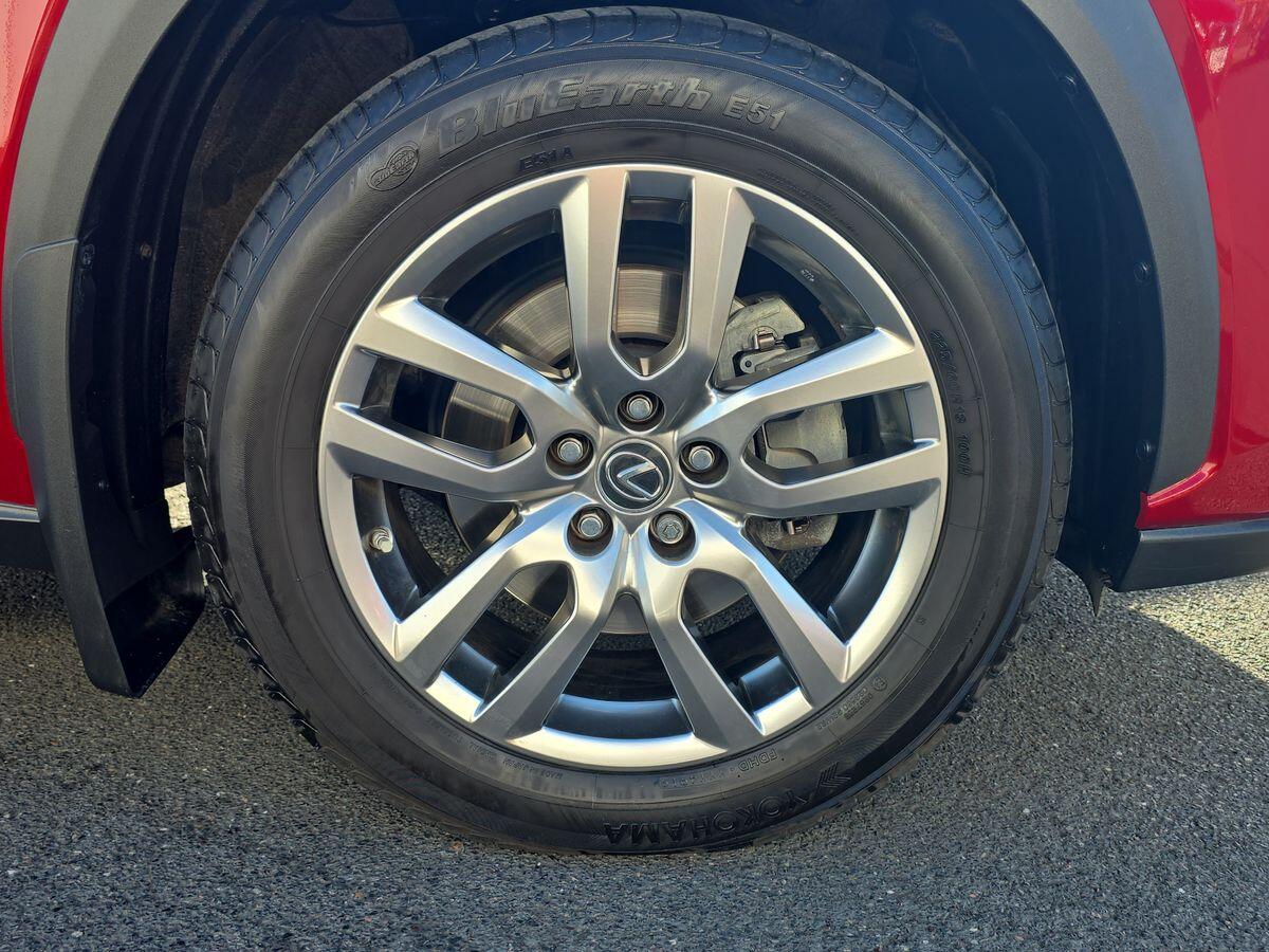 Used Lexus NX for sale - 77377588: Photo 12