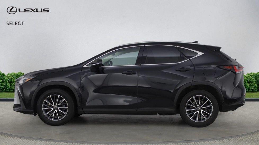 Used Lexus NX 2023 for sale - 77793870: Photo 6