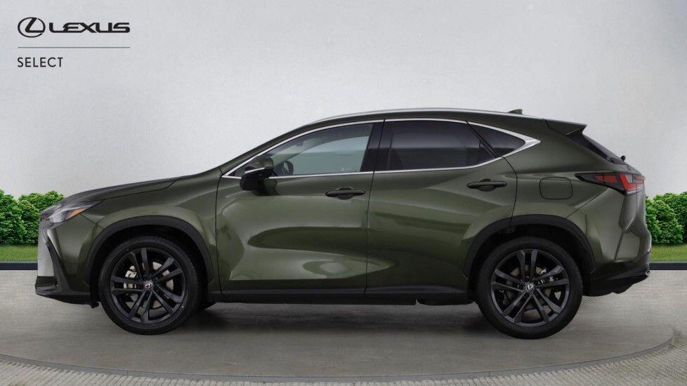 Used Lexus NX 2024 for sale - 77794391: Photo 3