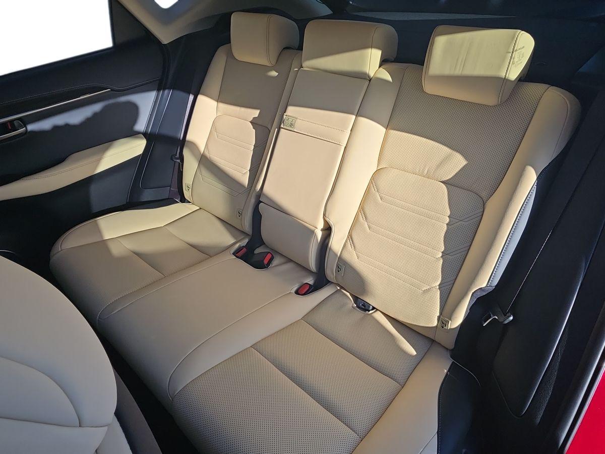 Used Lexus NX for sale - 76658314: Photo 18