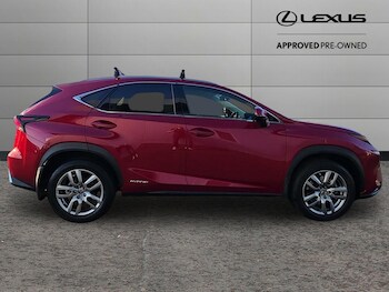 Used Lexus NX 2020 for sale - 76658314: Photo