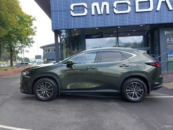 Used Lexus NX 2024 for sale - 79569620: Photo