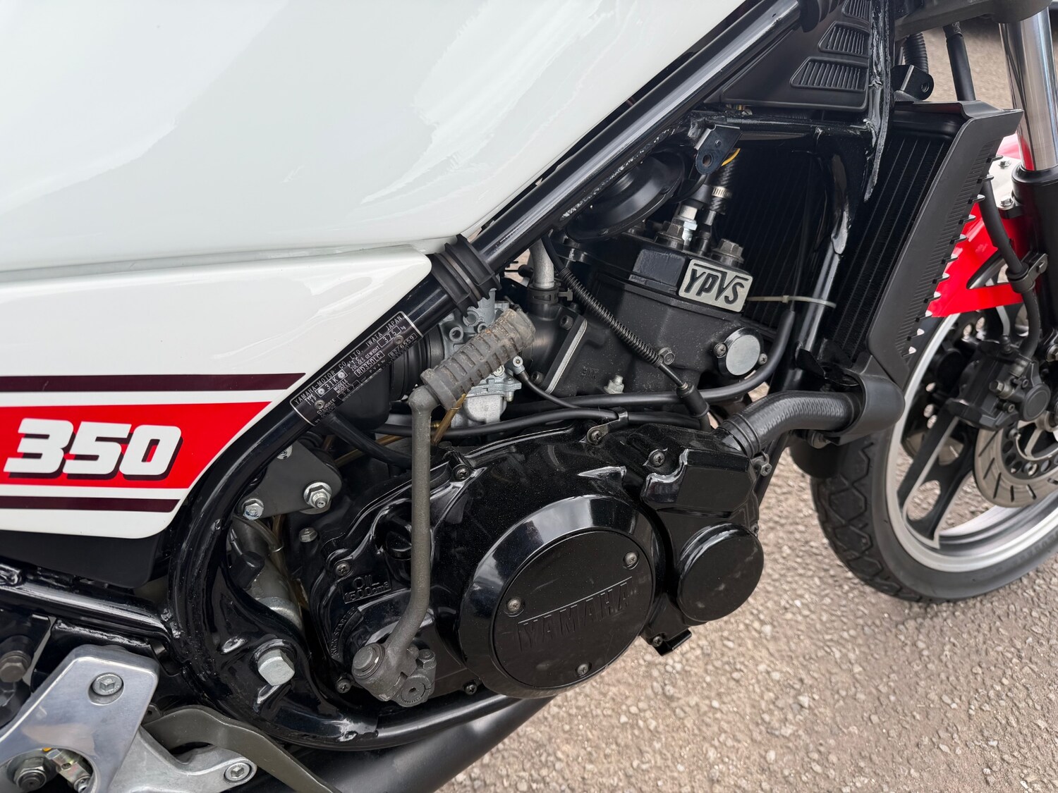 Used Yamaha RD350 N1 2016 for sale - 78606659: Photo 19