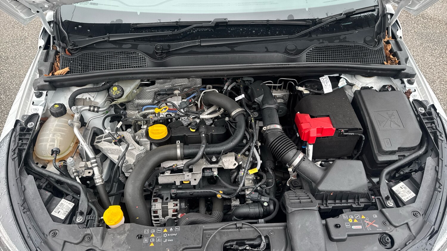 Used Renault Clio 2022 for sale - 77528501: Photo 8