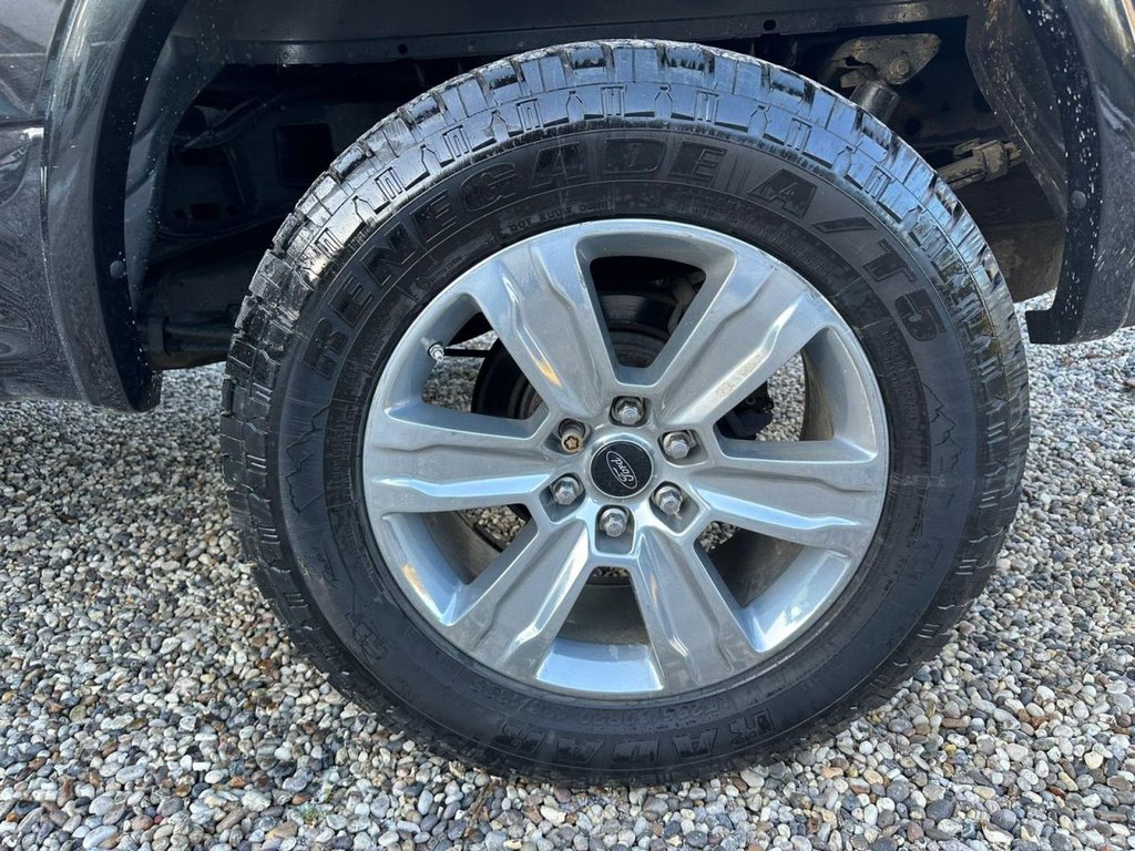 Used Ford F150 2015 for sale - 77241735: Photo 13