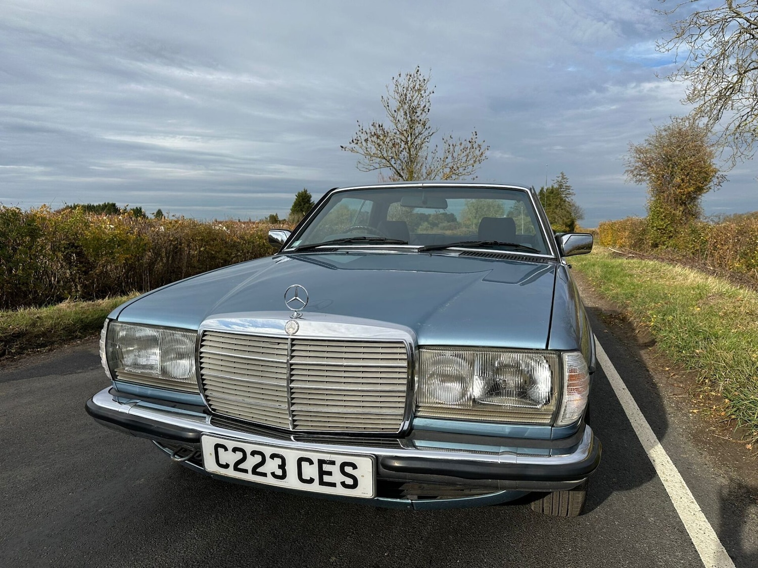 Used Mercedes-Benz C Class 1986 for sale - 76495493: Photo 10