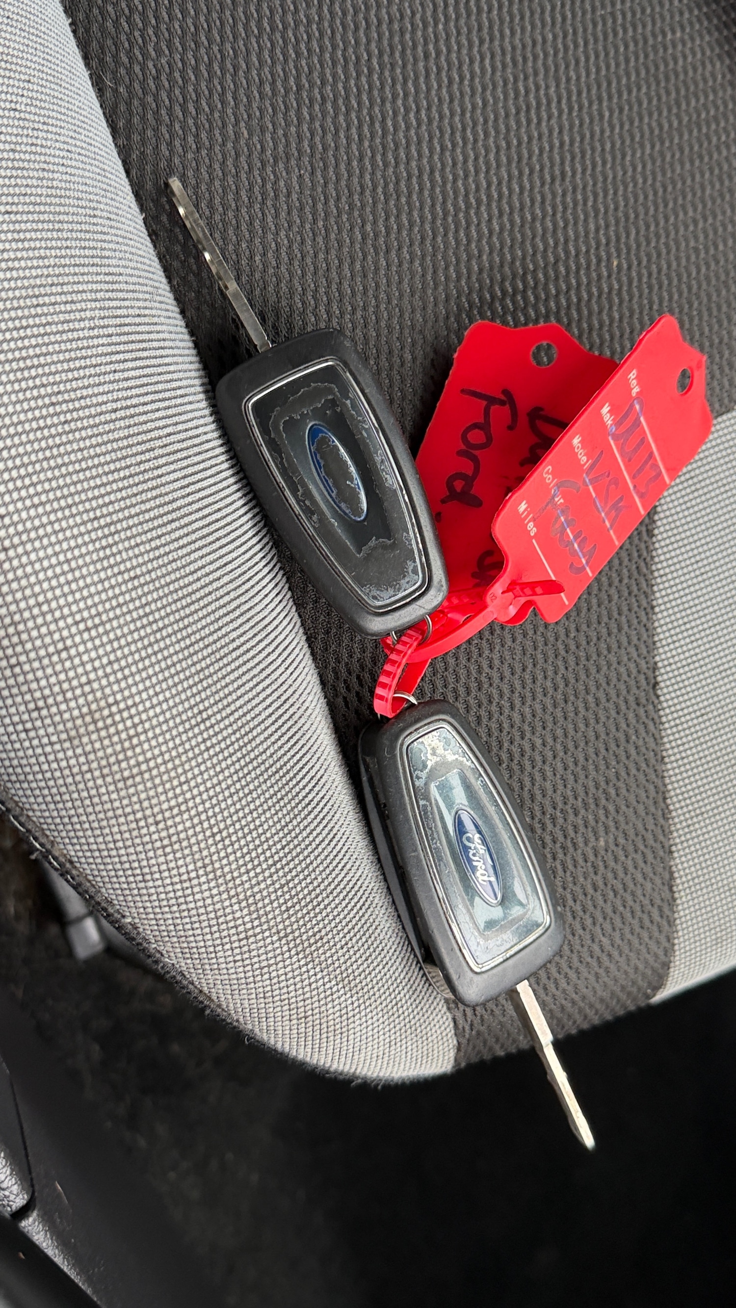 Used Ford Focus 2013 for sale - 77342471: Photo 19