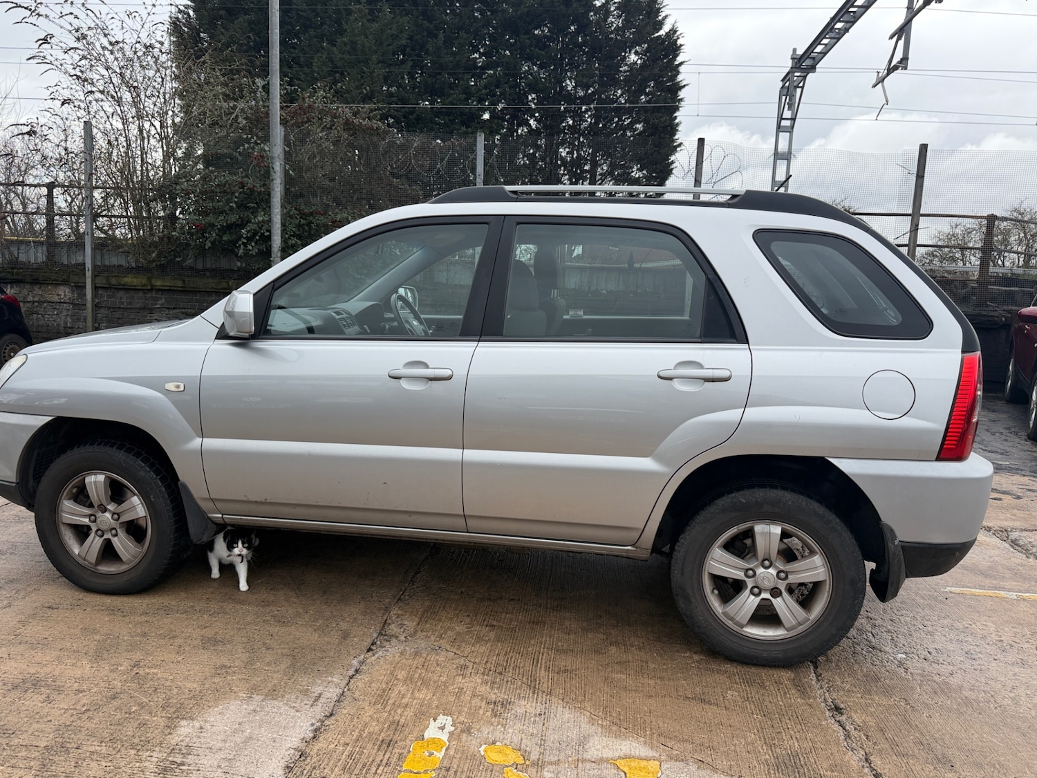 Used Kia Sportage 2009 for sale - 77688102: Photo 4