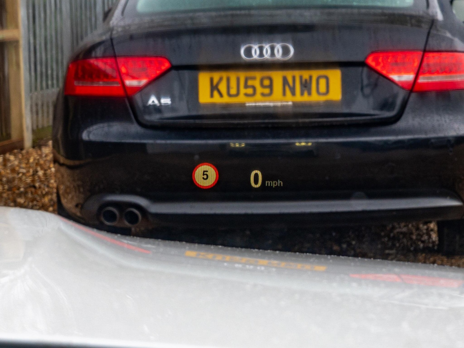 Used BMW M3 for sale - 76975989: Photo 49