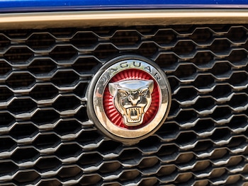 Used Jaguar XF 2019 for sale - 79158456: Photo